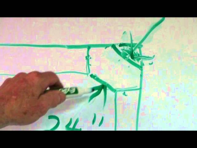 building cabinets for your kitchen.