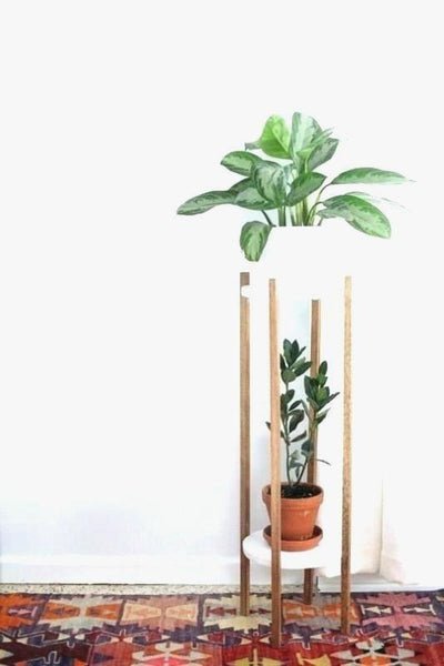 Unique Outdoor Corner Plant Stand