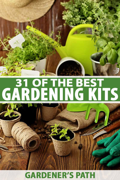 Gardening at Home: The Best 31 Kits to Get Started